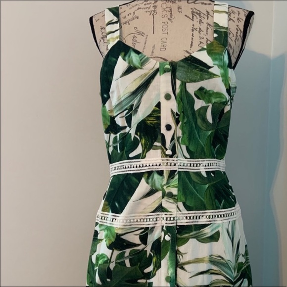 Gianni Bini Monica Palm Print Dress - Picture 8 of 10